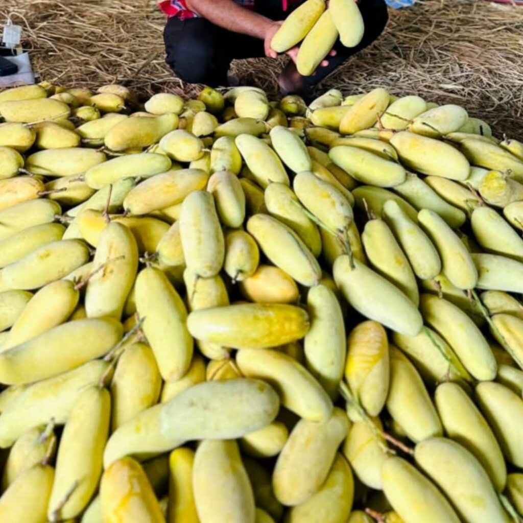 Banana Mango