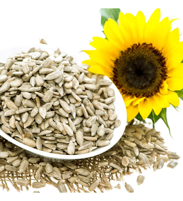 Sunflower Seed